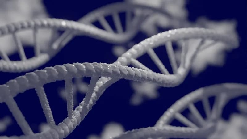 Bristol Myers Squibb Deploys Second NVIDIA DGX SuperPOD for Drug Discovery